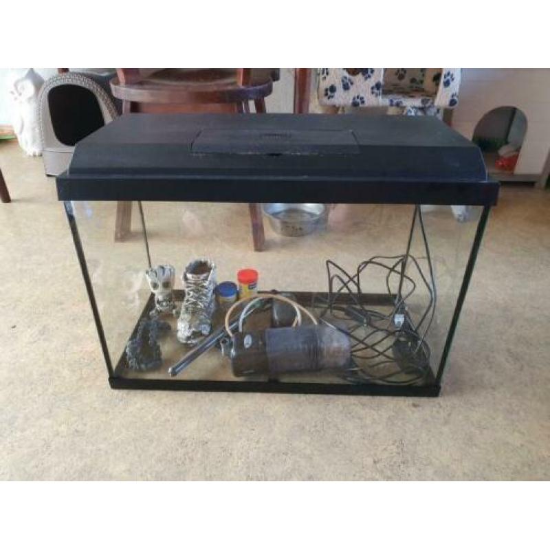 Juwel aquarium te koop