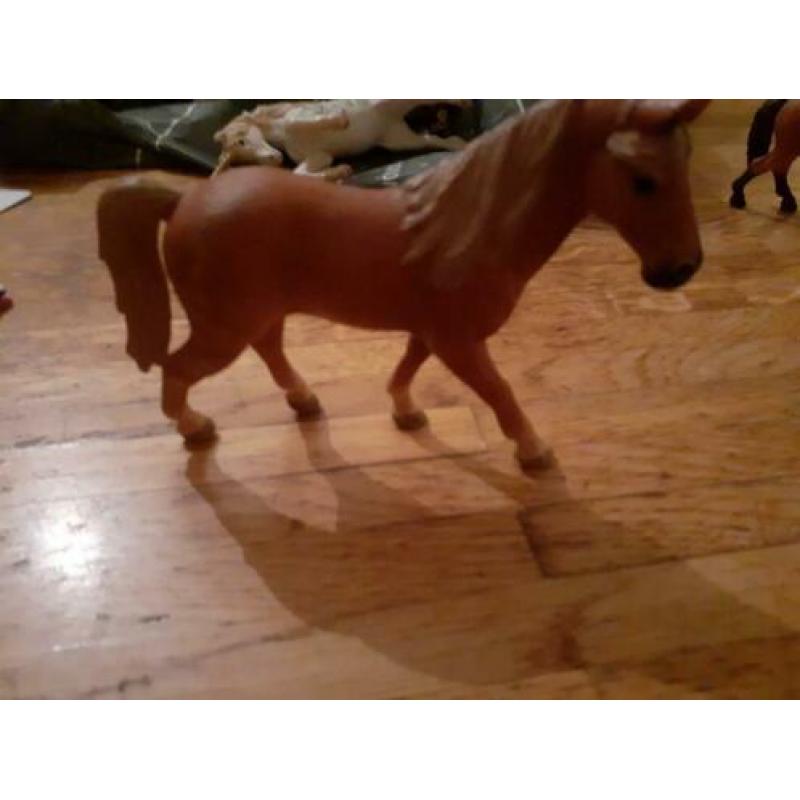 Schleich aardig wat keus paarden