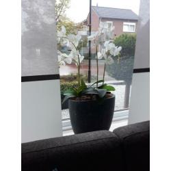 2 kunstbloemen in 1 bloempot