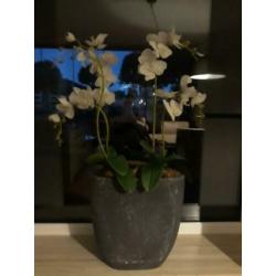 2 kunstbloemen in 1 bloempot