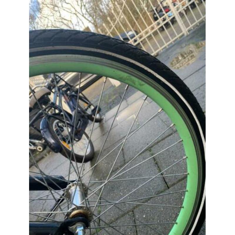 Alpina club 24 inch