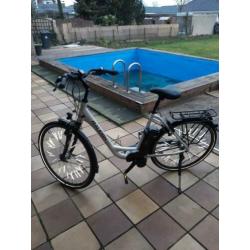 Raleigh E-Bike