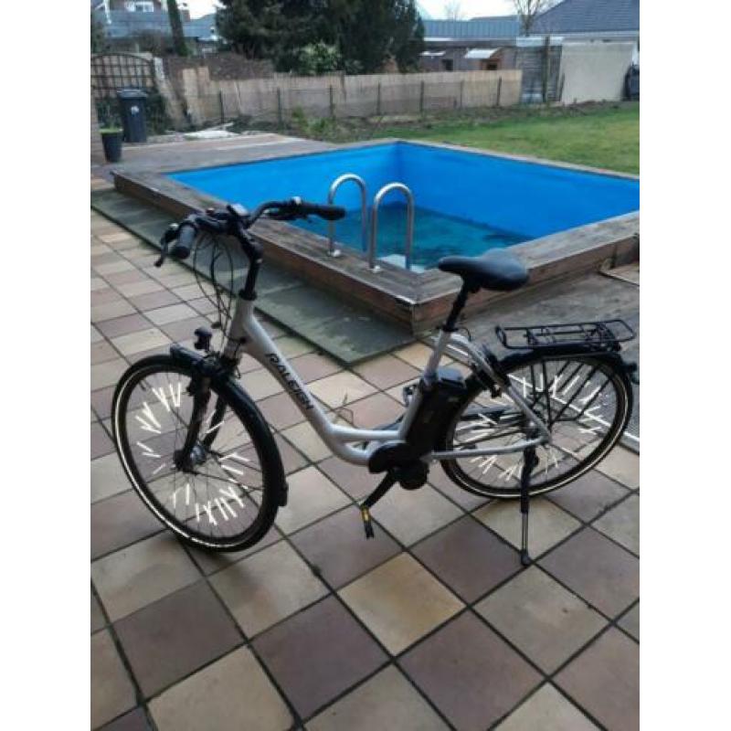 Raleigh E-Bike