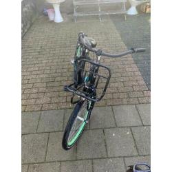 Alpina club 24 inch