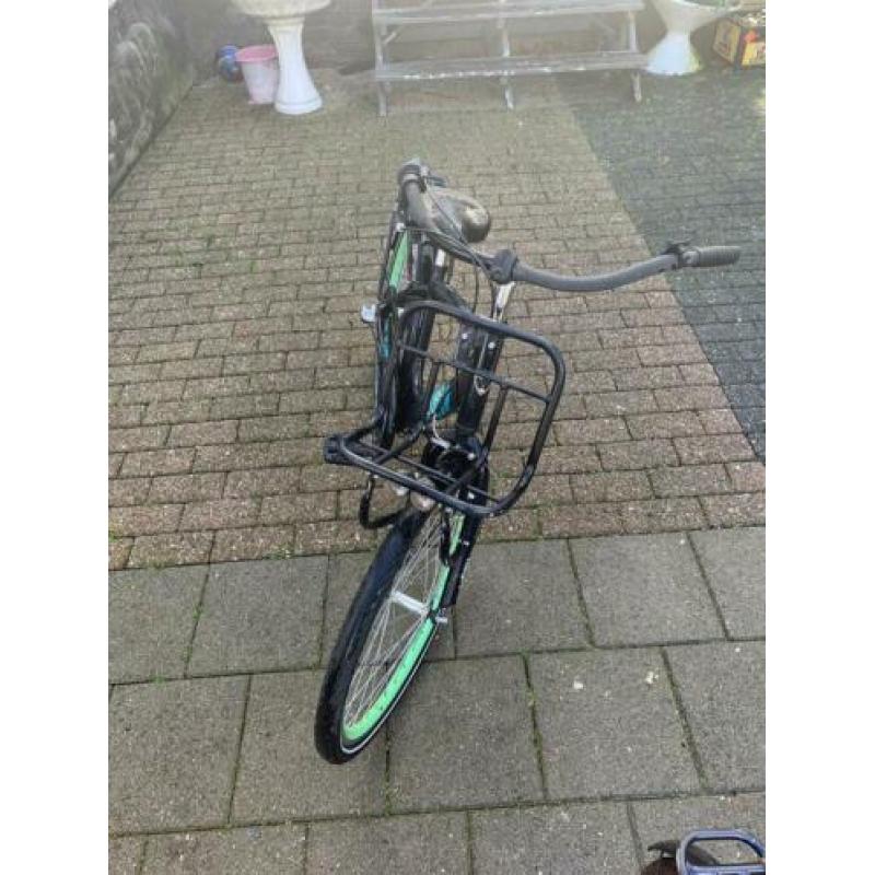 Alpina club 24 inch