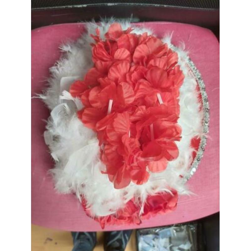 Rood witte carnavalshoed met lichtjes