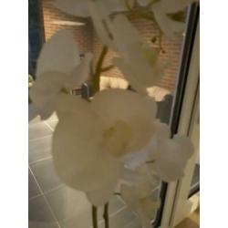 2 kunstbloemen in 1 bloempot