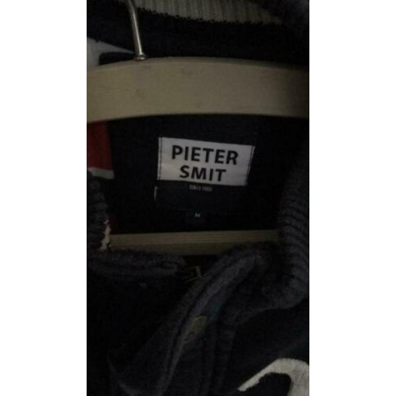 Vest Pieter Smit celine dion 2013