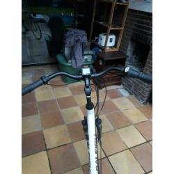 Raleigh E-Bike