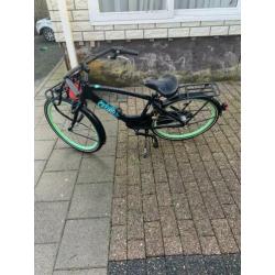 Alpina club 24 inch