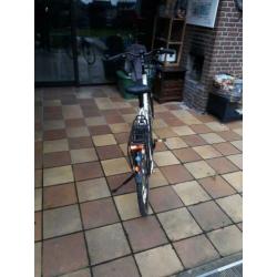 Raleigh E-Bike