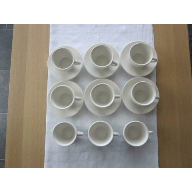 Palmer Imperial Quality Robusta 6 witte kop 150CL en schotel