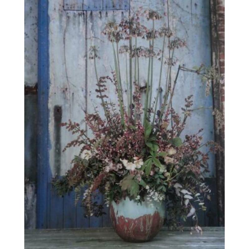 BLADEREN IN BLOEMEN * Daniel Ost *