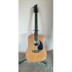 Nashville gitaar NV-10