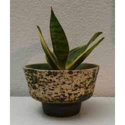 Vintage jaren 60 berkenbast bloempot