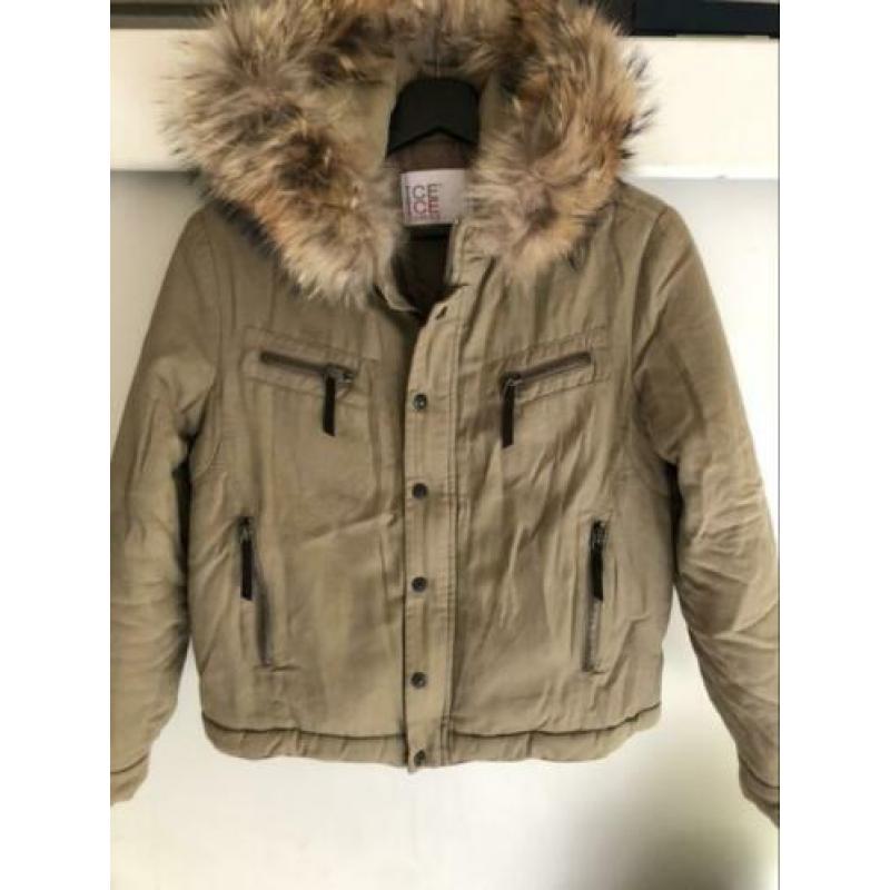 Iceberg beige winterjas met bontkraag