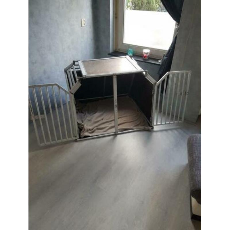 Schmidtbox kennel