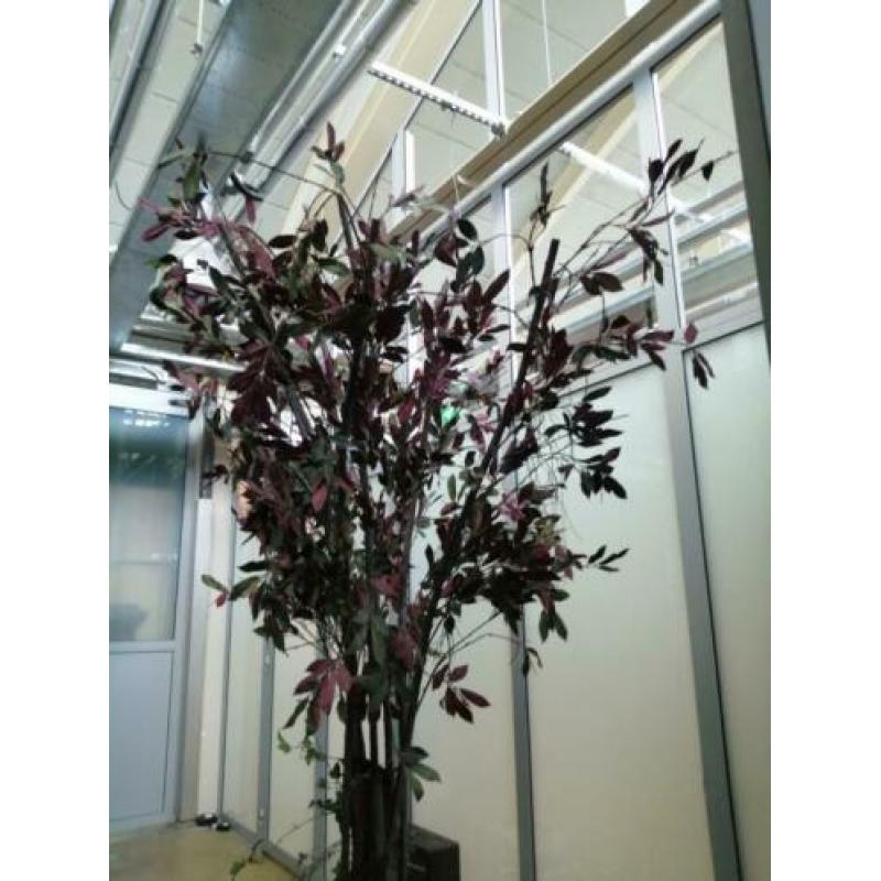 decoratie boom