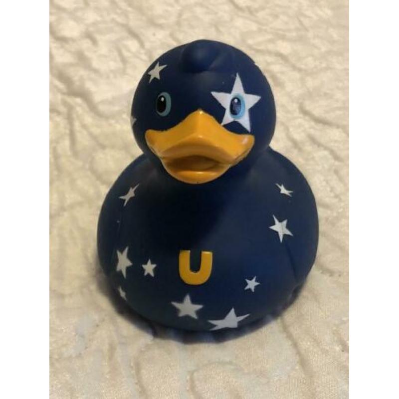 12 bud ducks