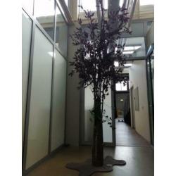 decoratie boom