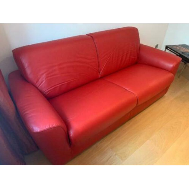 Tweepersoons slaapbank natuzzi
