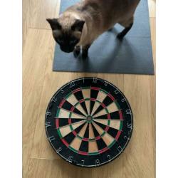 Dart Board