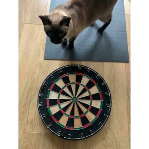Dart Board