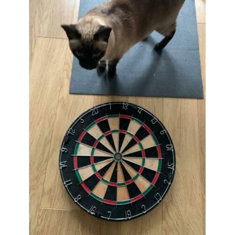Dart Board