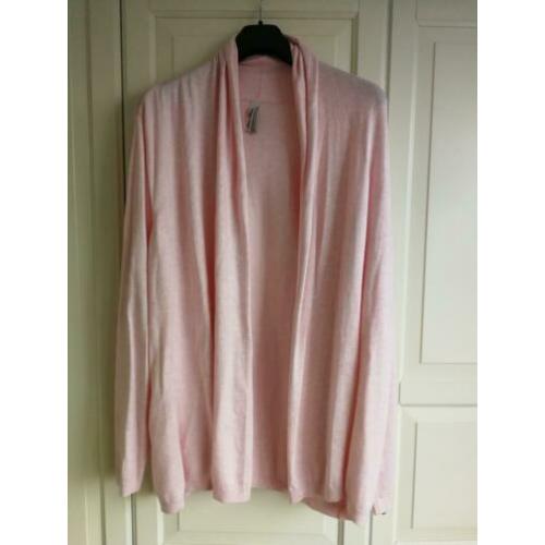 Miss etam vest zgan staat mt 50