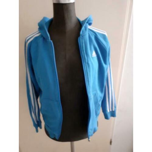Adidas joggingsjas blauw 146