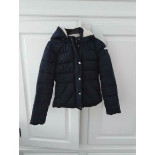 Hollister winterjas