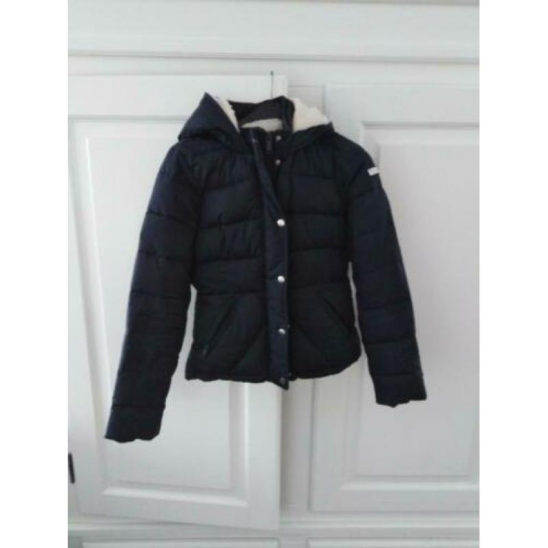 Hollister winterjas