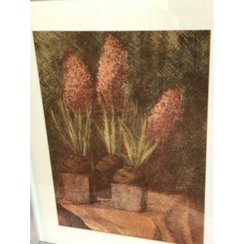 Ets schilderij Hyacinten van Hilda Oosterop 40/50 cm