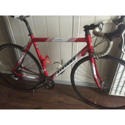 Stevens “San Remo” 55cm