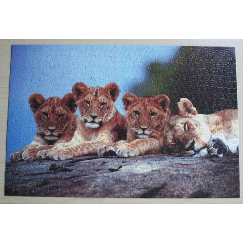 Legpuzzel dieren - 4 puzzels in één doos