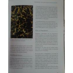 HANDBOEK TUINVERZORGING * Hans van Biemen - Rinus van Tiel