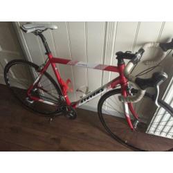 Stevens “San Remo” 55cm