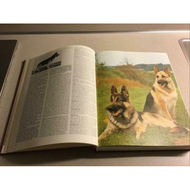 Elseviers Groot Rashonden Boek, hond, trimmen, trim