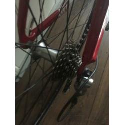Stevens “San Remo” 55cm