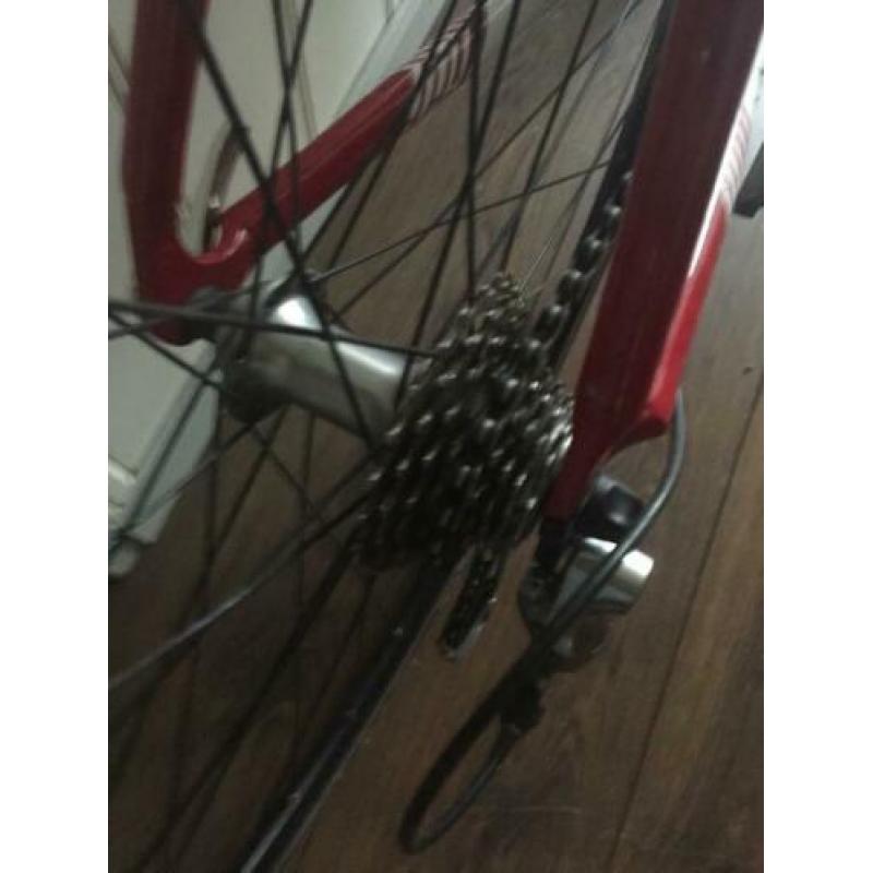 Stevens “San Remo” 55cm