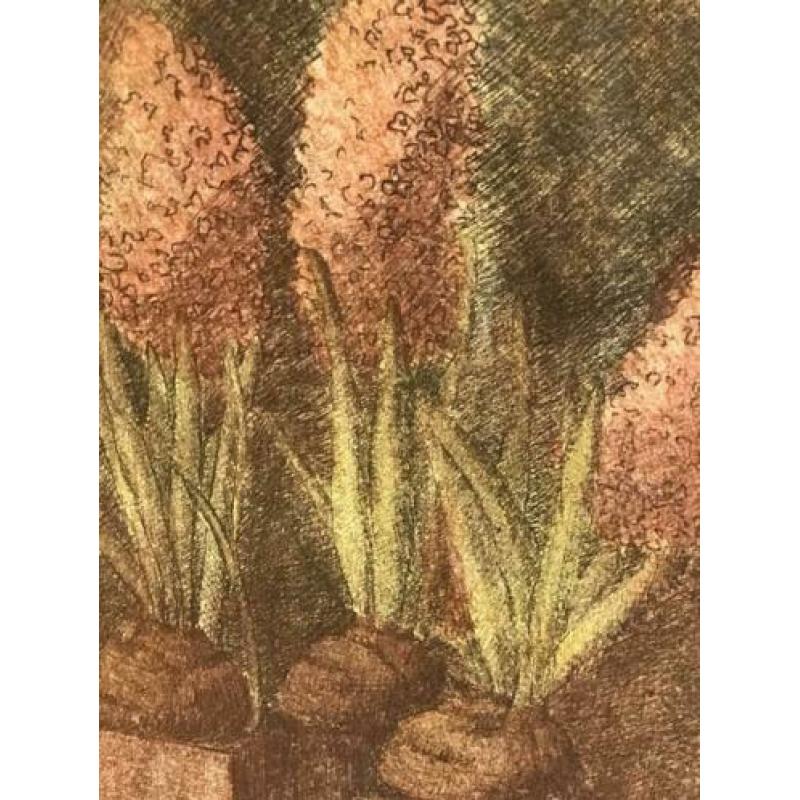 Ets schilderij Hyacinten van Hilda Oosterop 40/50 cm