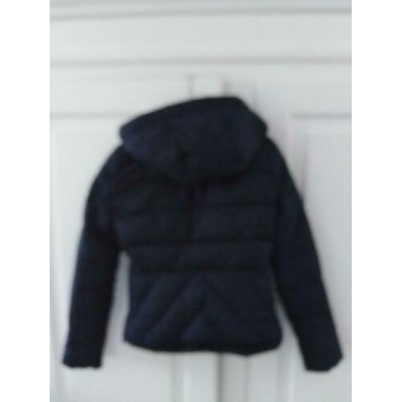 Hollister winterjas