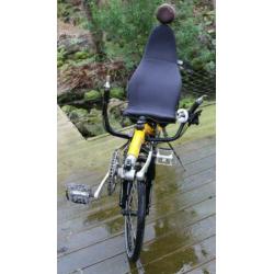 Ligfiets Nazca Paseo, Licht Economy