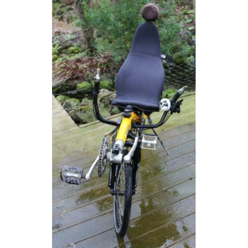 Ligfiets Nazca Paseo, Licht Economy