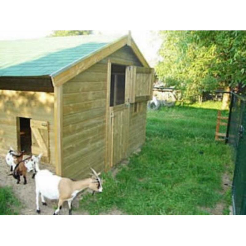 Schapen-Geitenhok ( All- inn geplaatst )