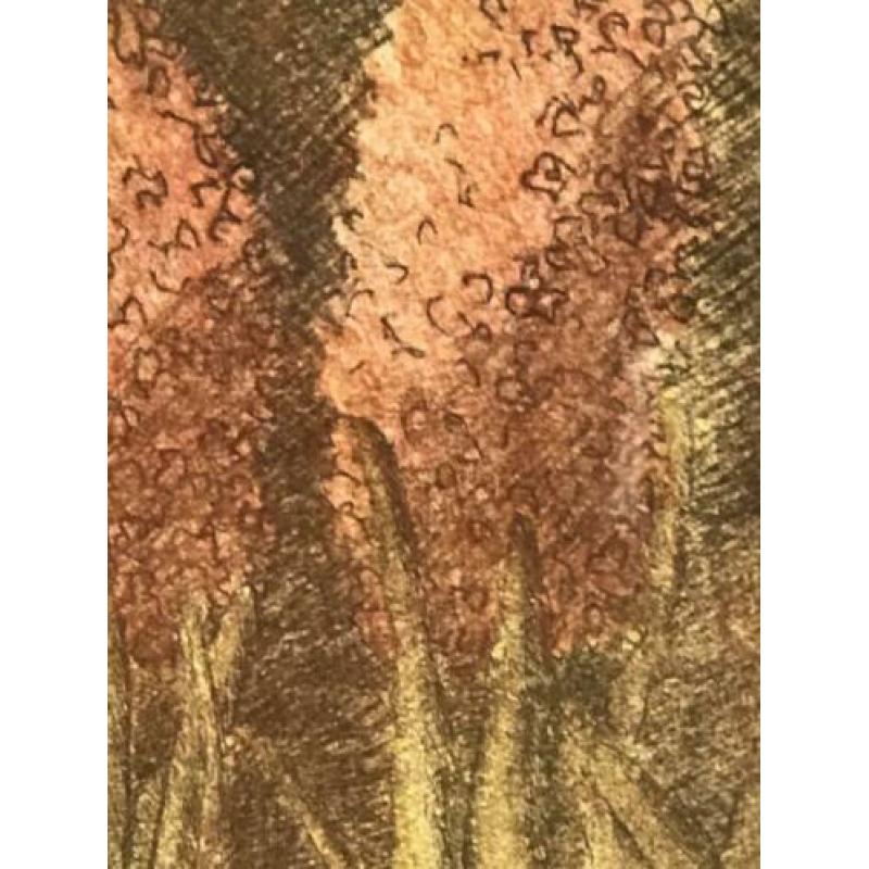 Ets schilderij Hyacinten van Hilda Oosterop 40/50 cm
