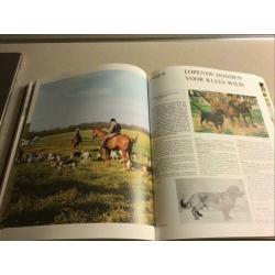 Elseviers Groot Rashonden Boek, hond, trimmen, trim