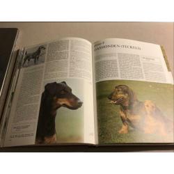 Elseviers Groot Rashonden Boek, hond, trimmen, trim