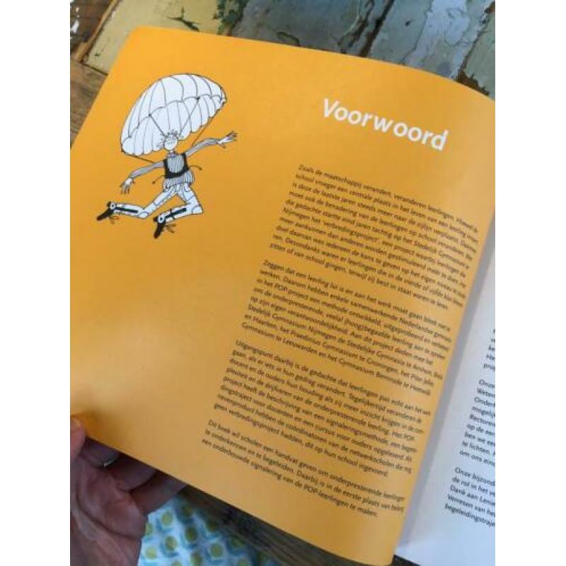 POP-Project Persoonlijk Ontwikkelingsplan bij onderpresteren