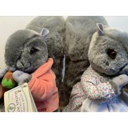 Peter rabbit/beatrix Potter